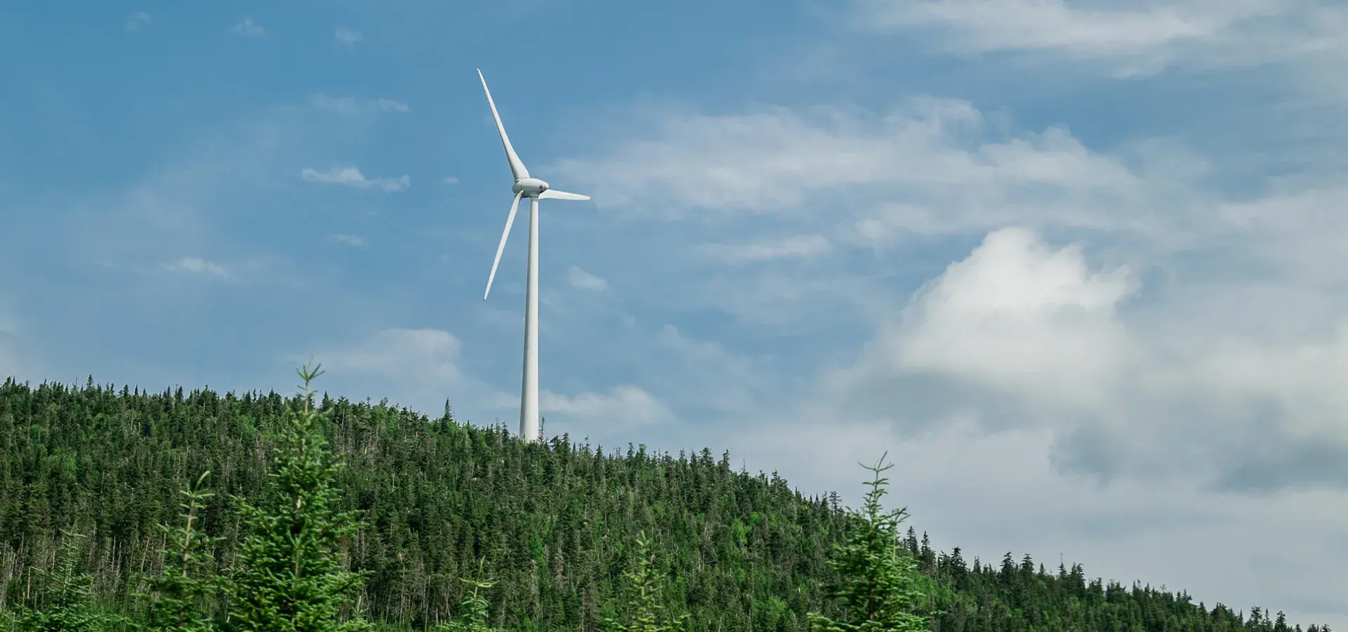 Eolienne sur une colline 