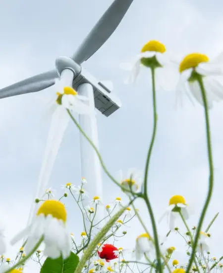Parc éolien Inter deux Bos en France