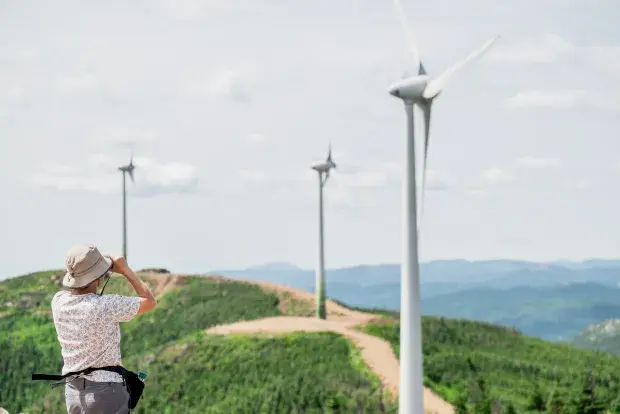 Une personne face à un paysage éolien
