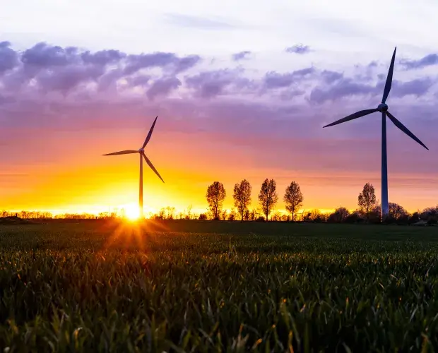 Wind farm