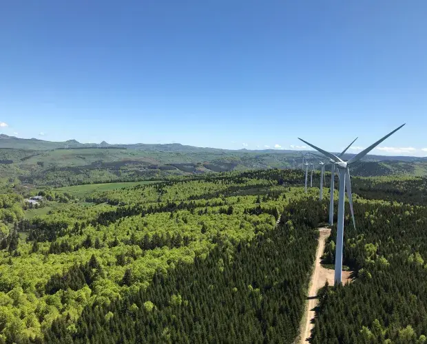 Eolienne Foret